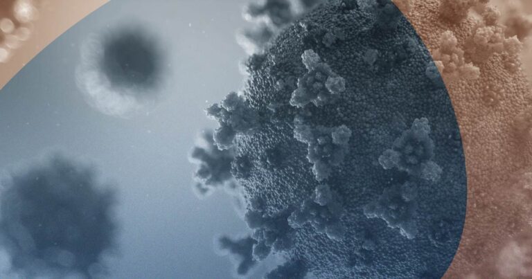 Virus-infected cell 3D render for Professor Peter Doherty TML Episode